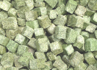 Challenges to Coal-based